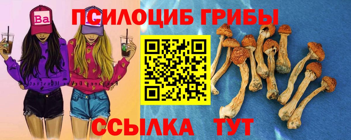 Чапаевск  Псилоцибиновые грибы мухоморы  Вход с VPN 
